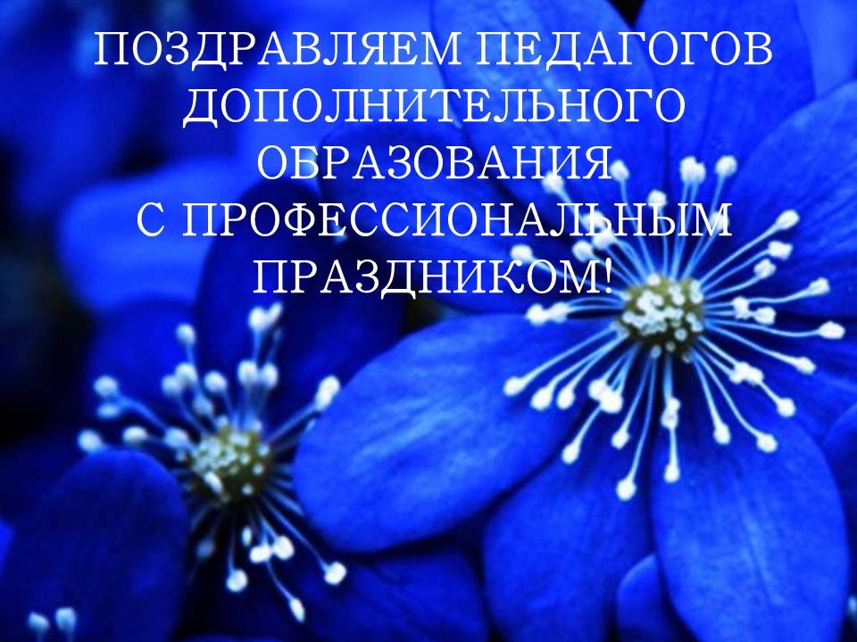 xhb XI4XbXo